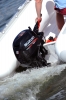 AP1_6157_web.1.jpg